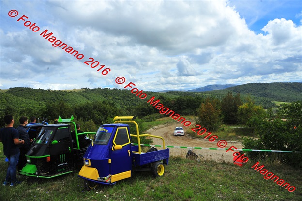 DSC_7818.JPG